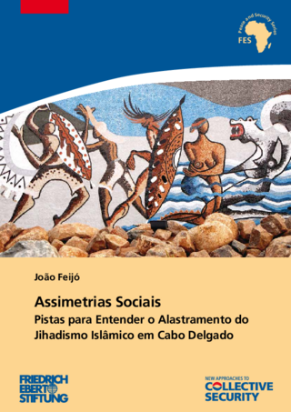 Assimetrias sociais